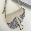 DIOR Saddle