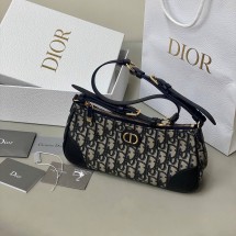 DIOR WANDERLUST MINI