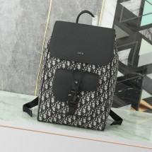 디올 새들 플랩 백팩